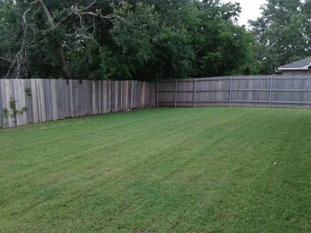 Trusted yard cleanup service with custom design across Farmersville, TX - Speedway Mowing