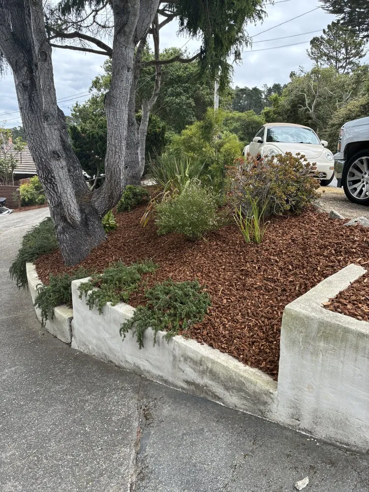 Top-rated landscape installation in Monterey, CA by Speedy Gonzalez Landscapes
