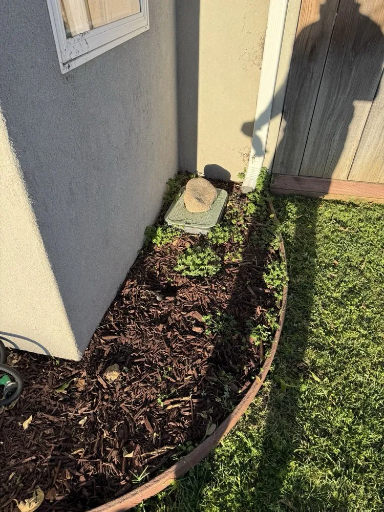 Top-rated outdoor landscaping for year-round maintenance across Monterey, CA - Speedy Gonzalez Landscapes