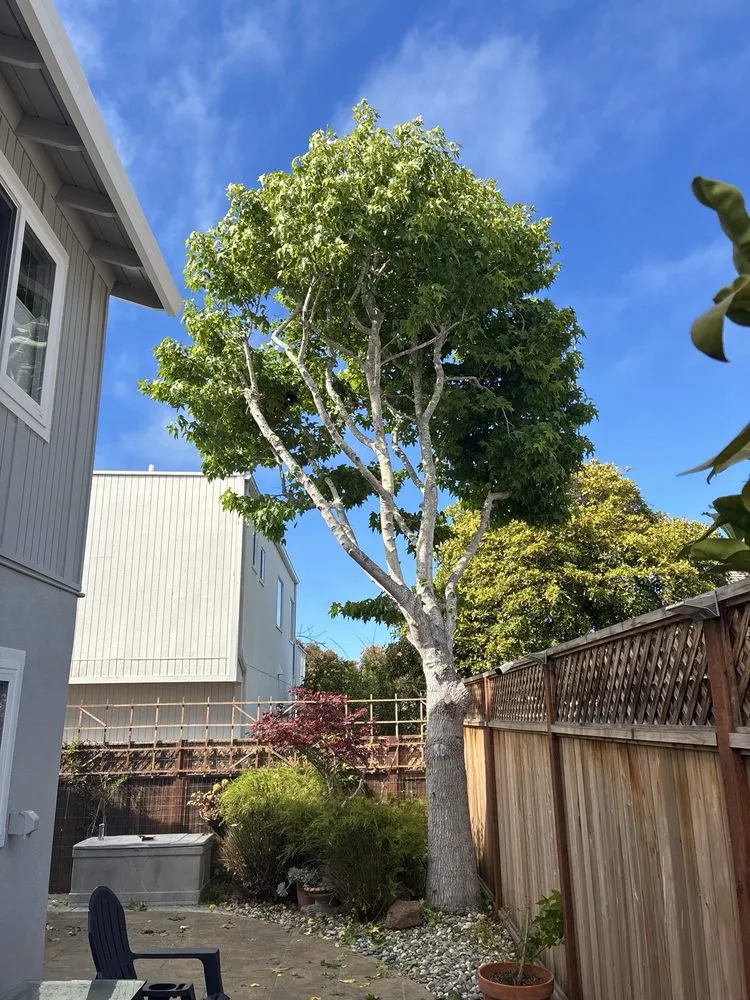 Custom garden landscaping experts serving Monterey, CA - Speedy Gonzalez Landscapes