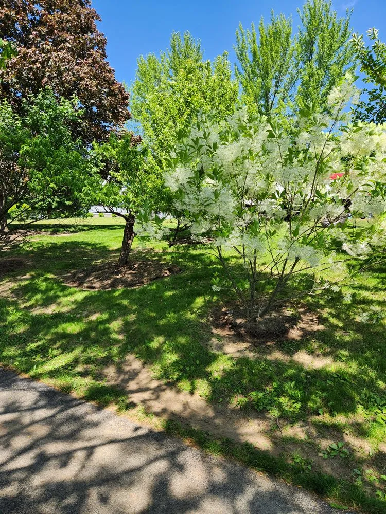 Trusted residential landscaping in Huntingdon, PA by Speedy Greens Lawn Care