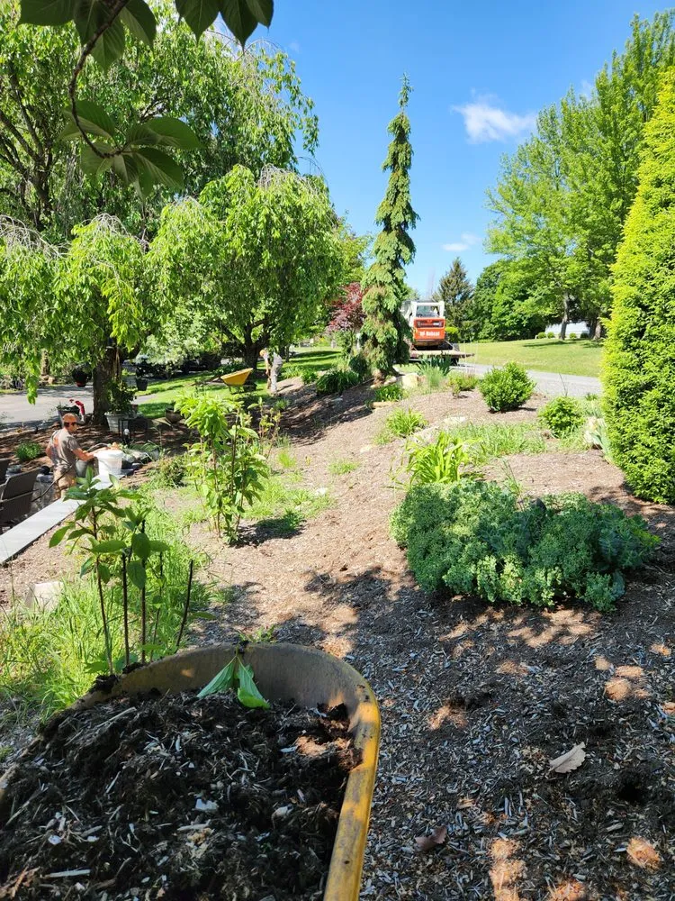 Professional lawn care service for residential properties in Huntingdon, PA by Speedy Greens Lawn Care