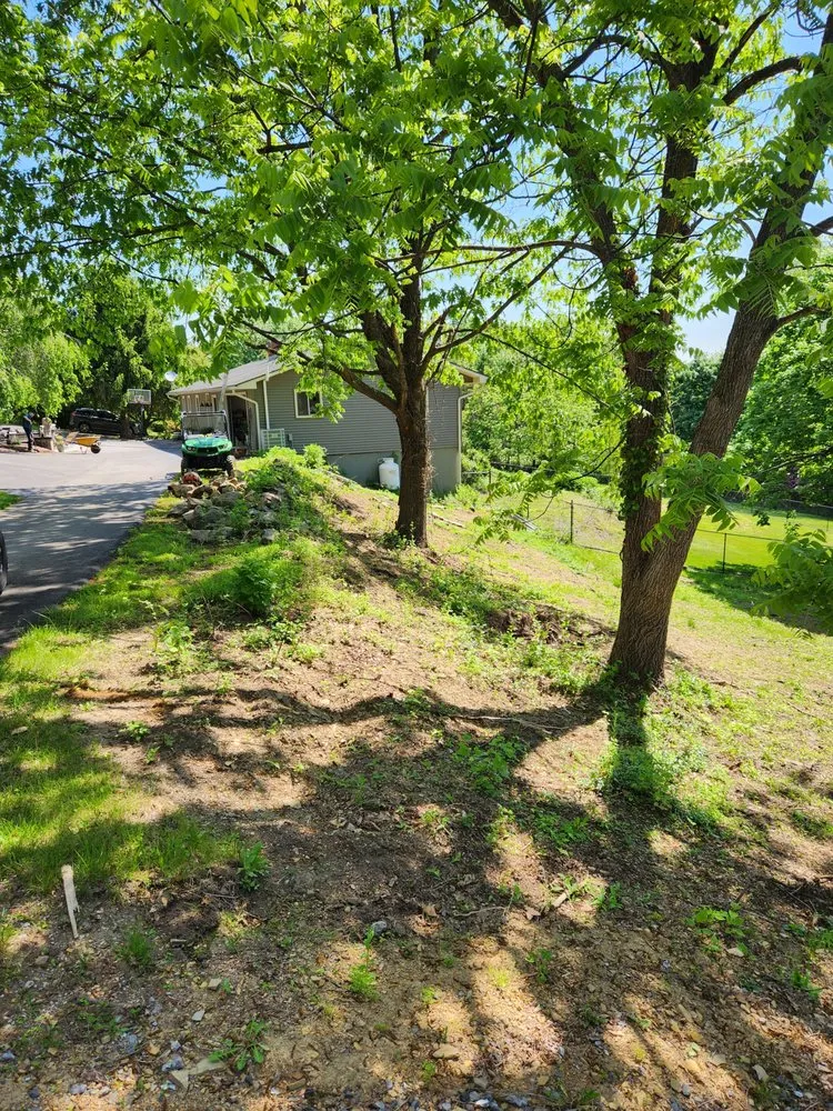 Trusted lawn care service for outdoor upgrades across Huntingdon, PA - Speedy Greens Lawn Care