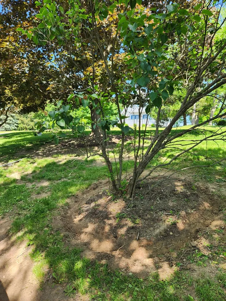 Custom landscape installation in Huntingdon, PA by Speedy Greens Lawn Care