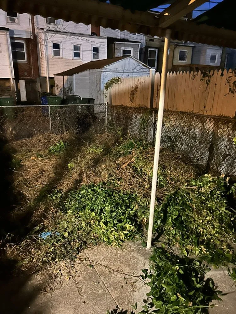 Professional outdoor landscaping near you across Baltimore, MD - Speedy Haul Uplifters