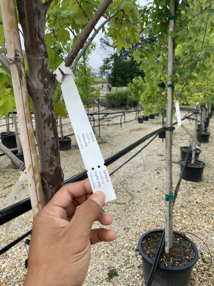 Top-rated landscaping services in Holts Summit, MO by Speedy Landscaping