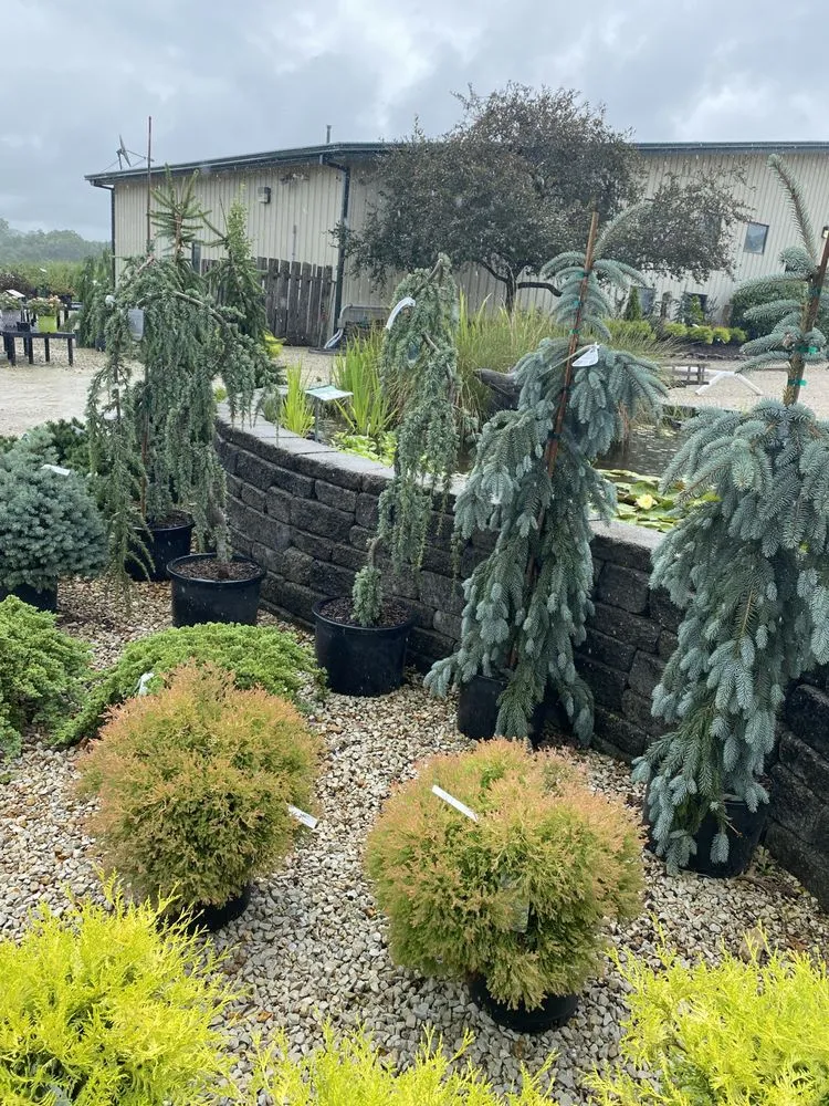 Top-rated residential landscaping for residential properties across Holts Summit, MO - Speedy Landscaping