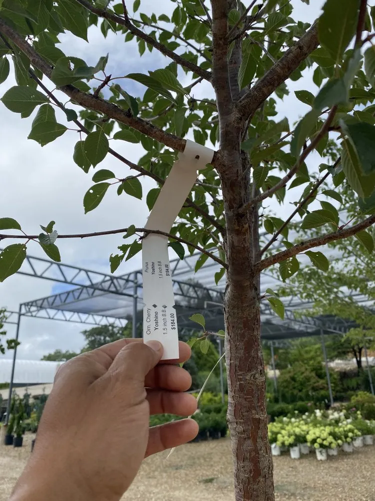 Custom residential landscaping experts serving Holts Summit, MO - Speedy Landscaping