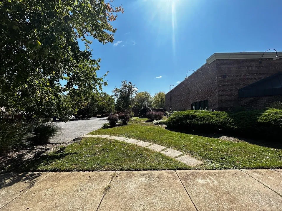 Top-rated yard cleanup service experts serving Winston-Salem, NC - Speedy Landscaping