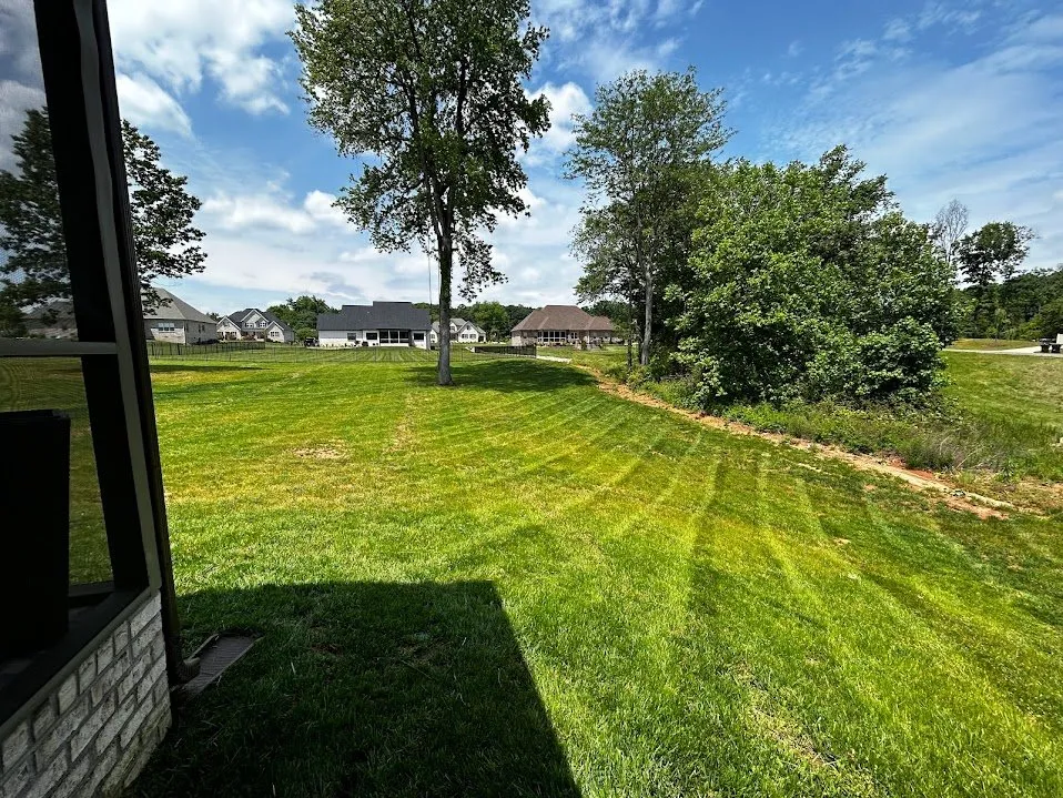 Expert residential landscaping in Winston-Salem, NC - Speedy Landscaping
