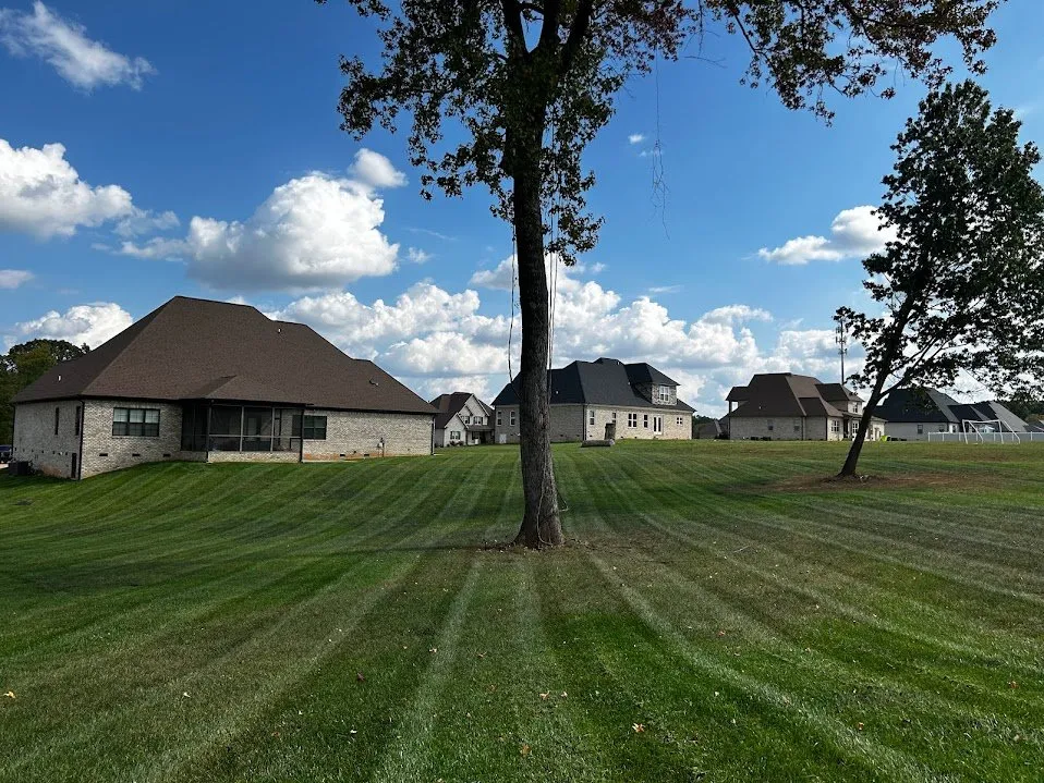Reliable lawn care service near you in Winston-Salem, NC by Speedy Landscaping