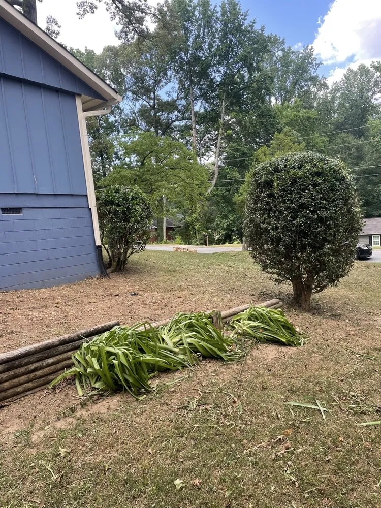 Professional lawn care service in Decatur, GA - Speedy Lawn Care