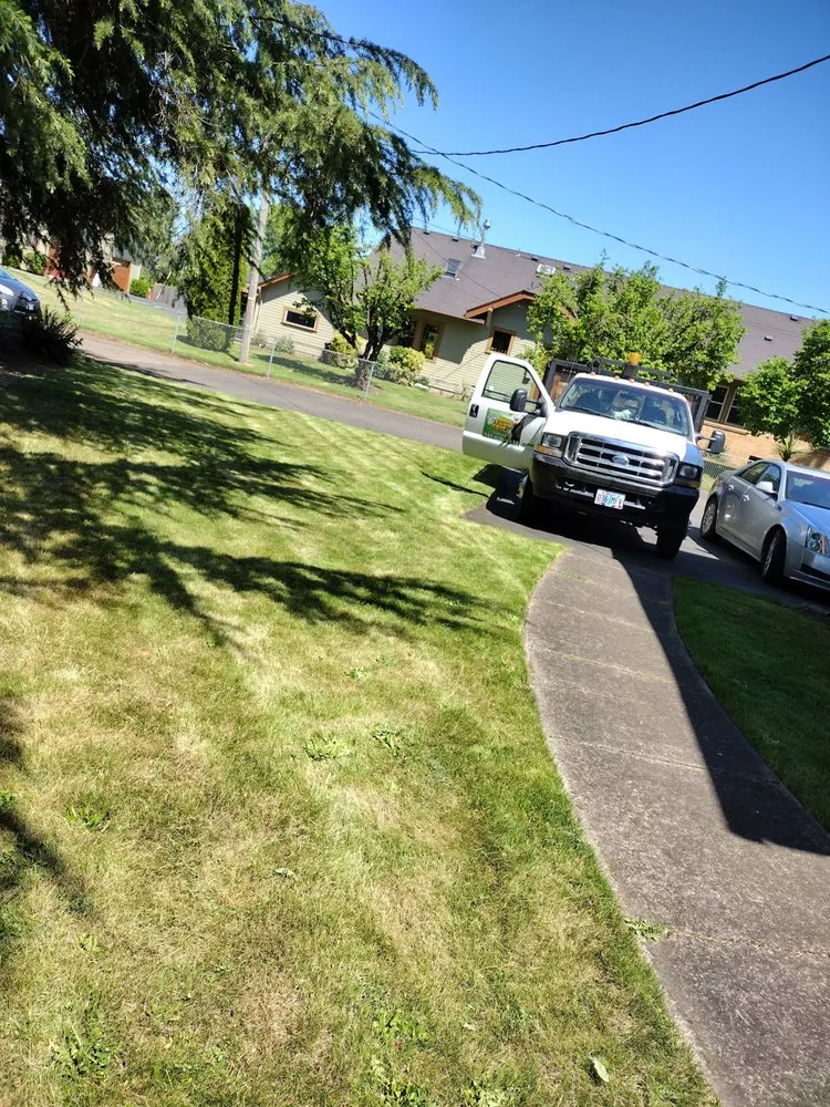 Trusted residential landscaping in Junction City, OR - Speedy Lawn Care Services