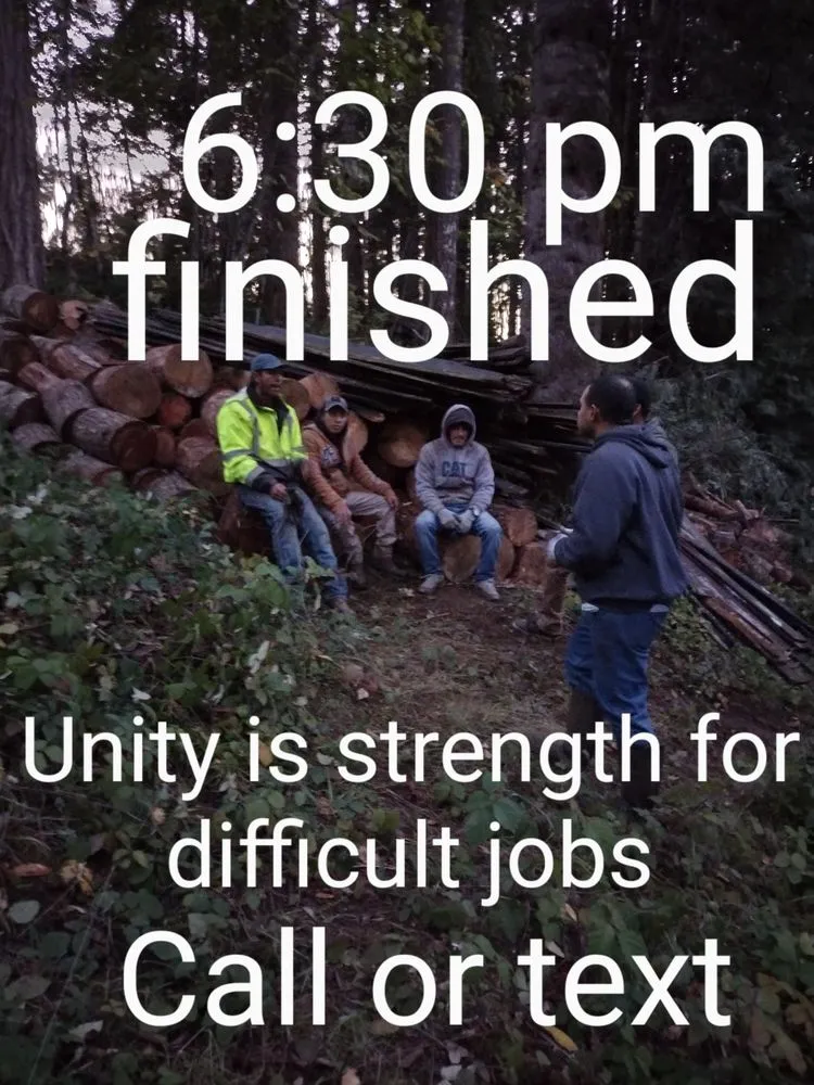 Reliable yard cleanup service for residential properties across Junction City, OR - Speedy Lawn Care Services