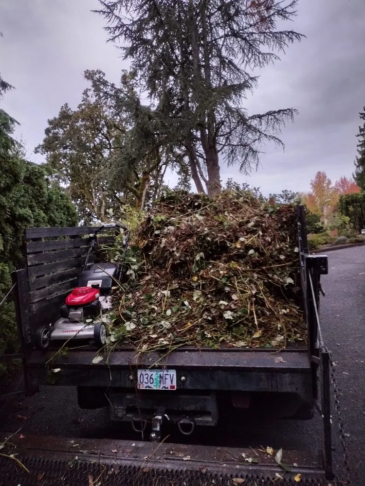 Expert yard maintenance in Junction City, OR by Speedy Lawn Care Services