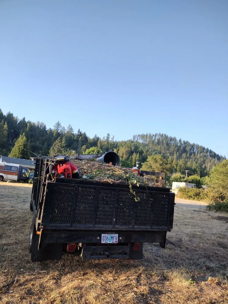 Professional landscape design for outdoor upgrades across Junction City, OR - Speedy Lawn Care Services