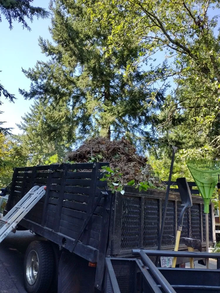 Top-rated outdoor landscaping experts serving Junction City, OR - Speedy Lawn Care Services