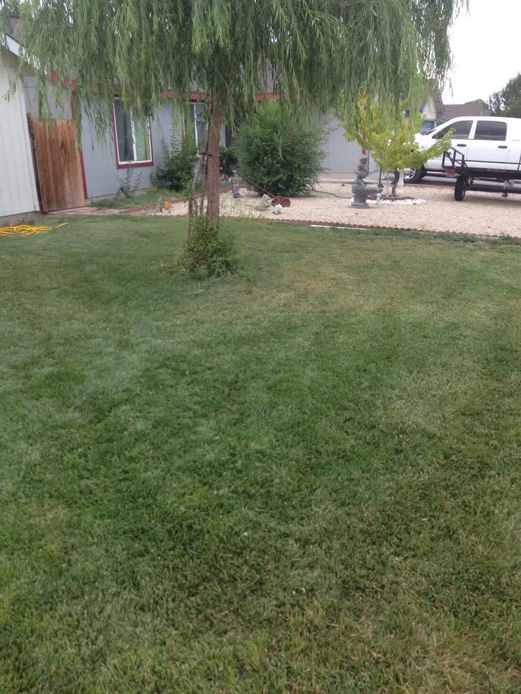 Expert lawn care service in Fernley, NV - Speedy Mow