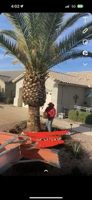 Speedy Pete Landscaping Logo