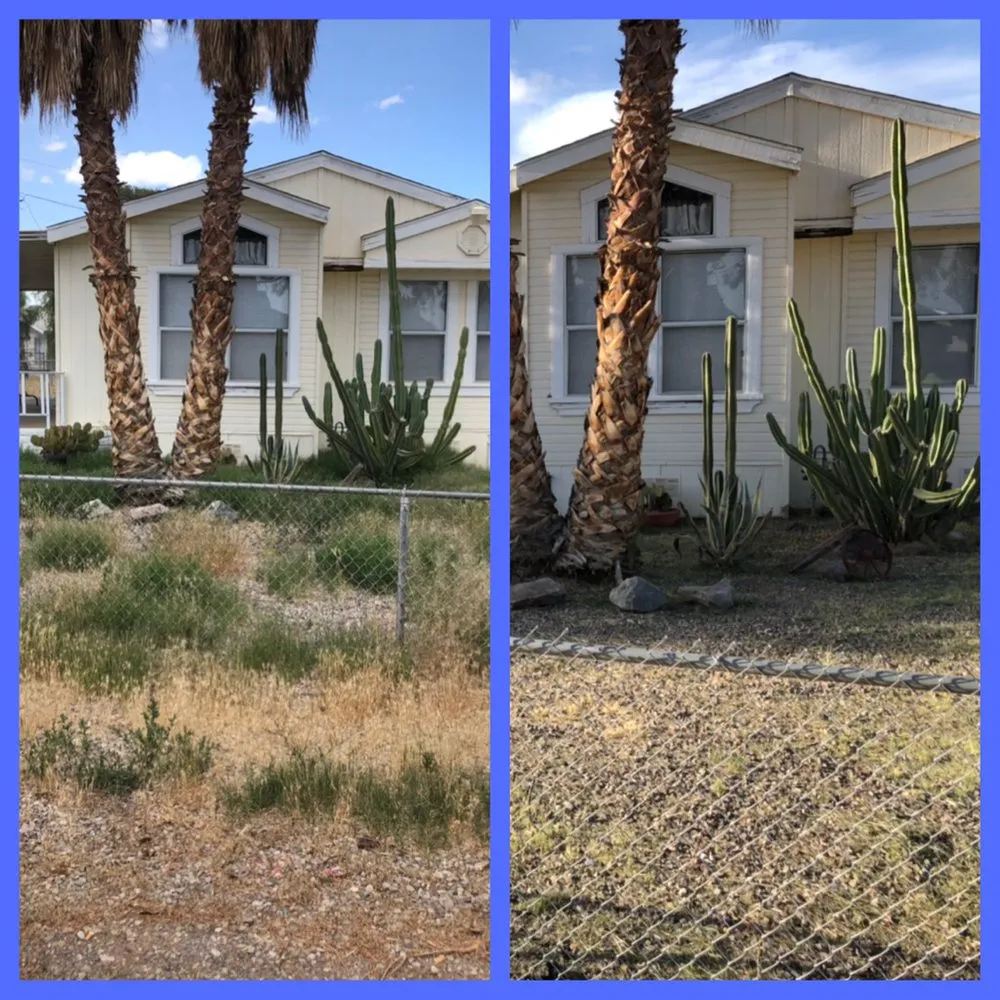 Affordable outdoor landscaping in Fort Mohave, AZ by Speedy Services