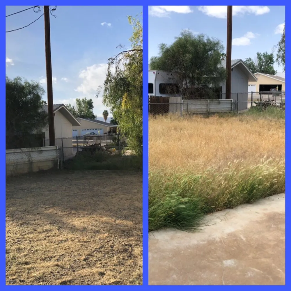 Affordable outdoor landscaping for homes in Fort Mohave, AZ by Speedy Services