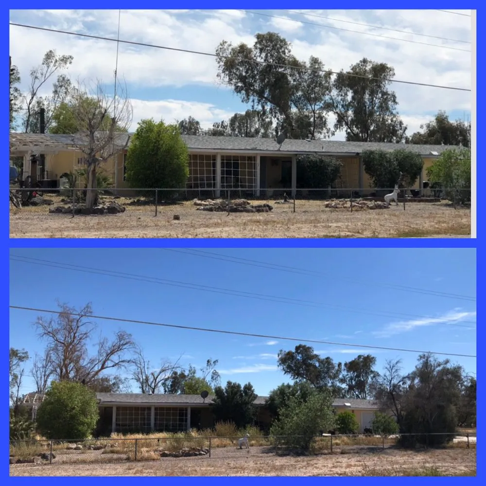 Trusted lawn care service in Fort Mohave, AZ by Speedy Services