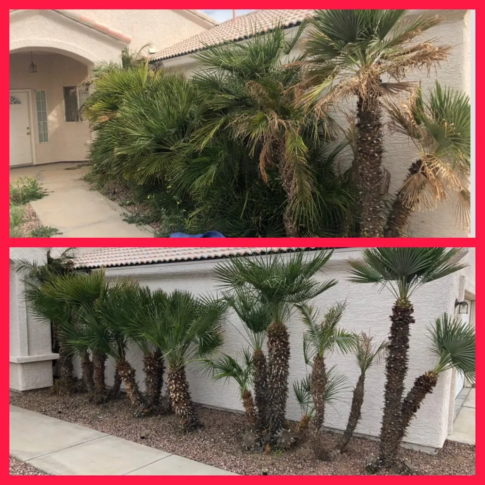 Local lawn mowing service experts serving Fort Mohave, AZ - Speedy Services