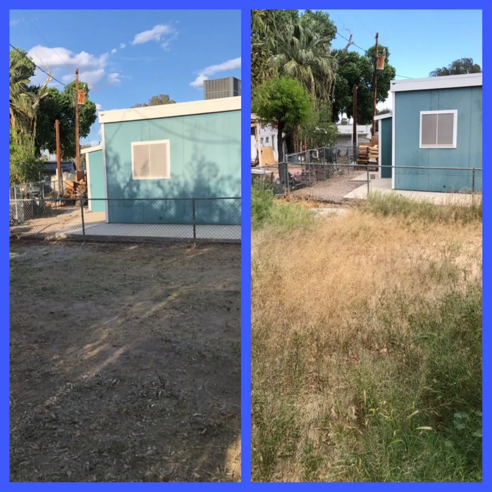 Trusted landscape installation in Fort Mohave, AZ by Speedy Services