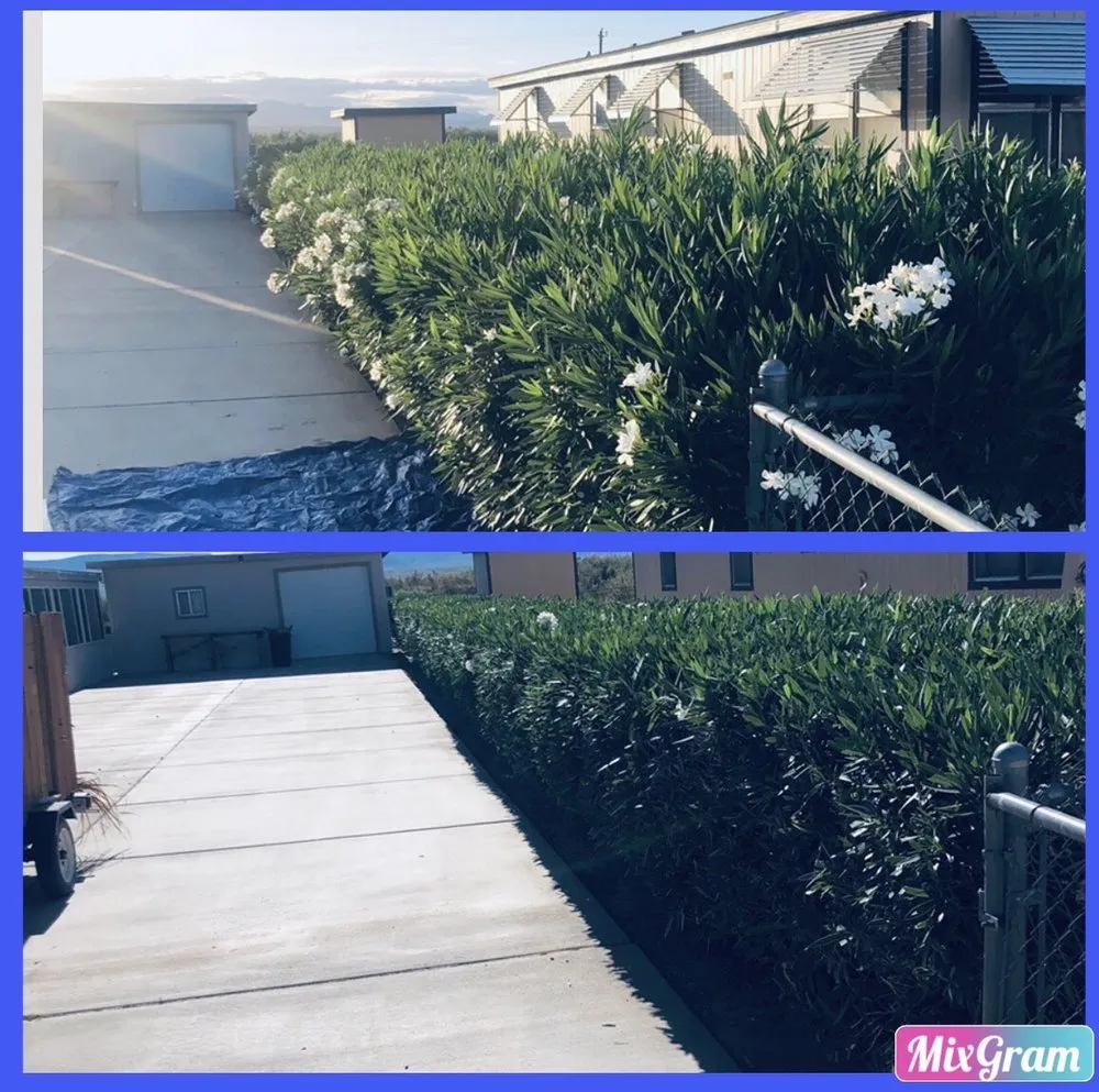 Local landscape installation experts serving Fort Mohave, AZ - Speedy Services