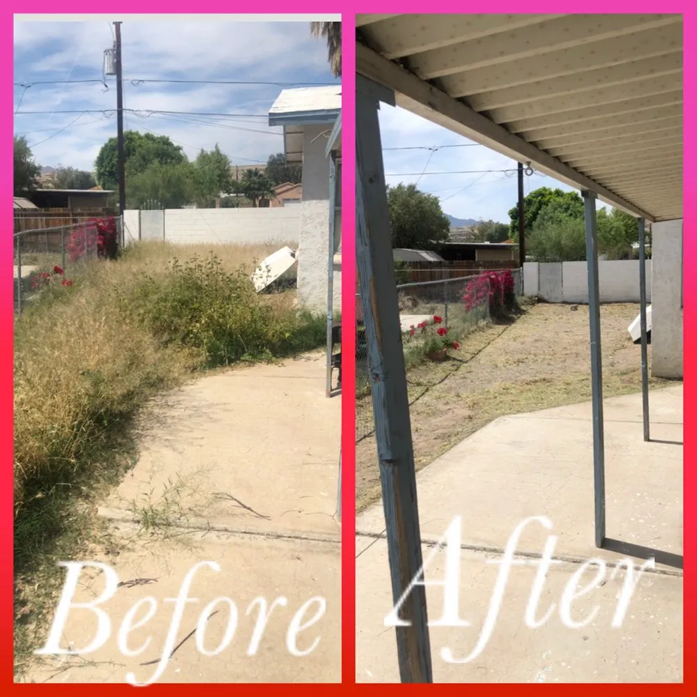 Custom lawn mowing service experts serving Fort Mohave, AZ - Speedy Services