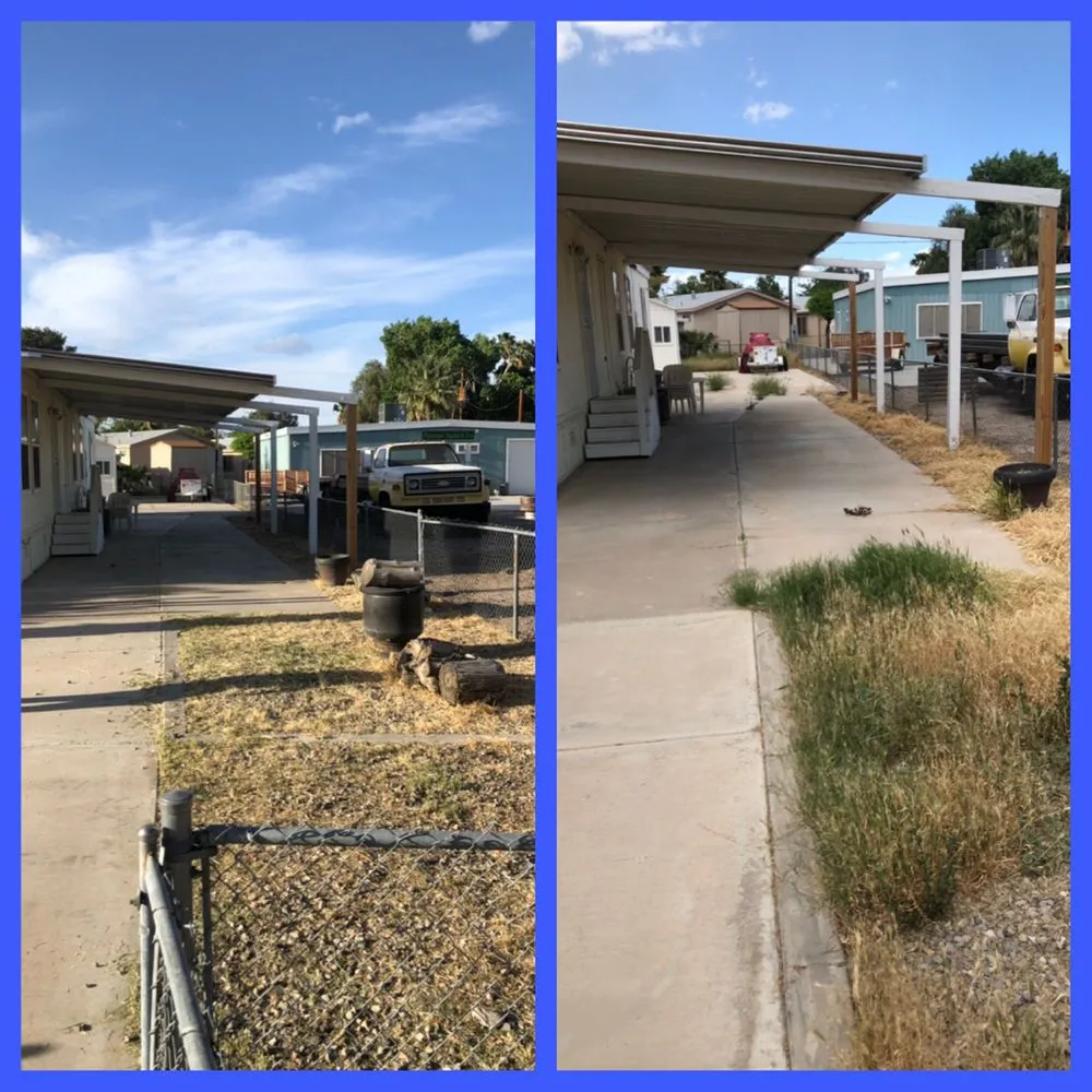 Custom landscaping services in Fort Mohave, AZ - Speedy Services