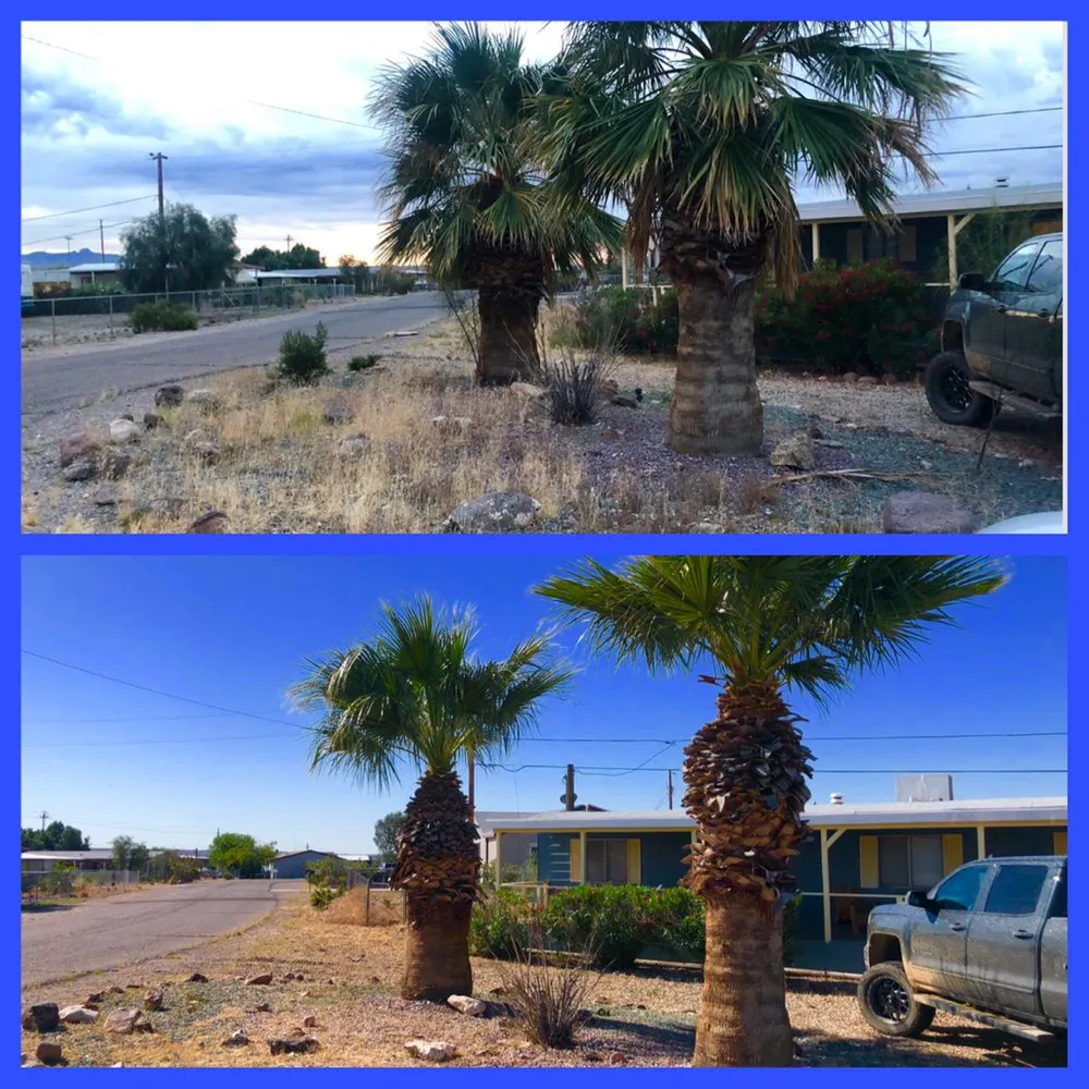 Professional landscape installation experts serving Fort Mohave, AZ - Speedy Services
