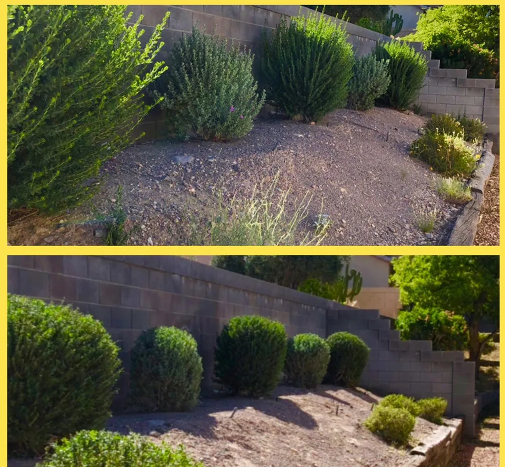 Custom landscape design with custom design across Fort Mohave, AZ - Speedy Services