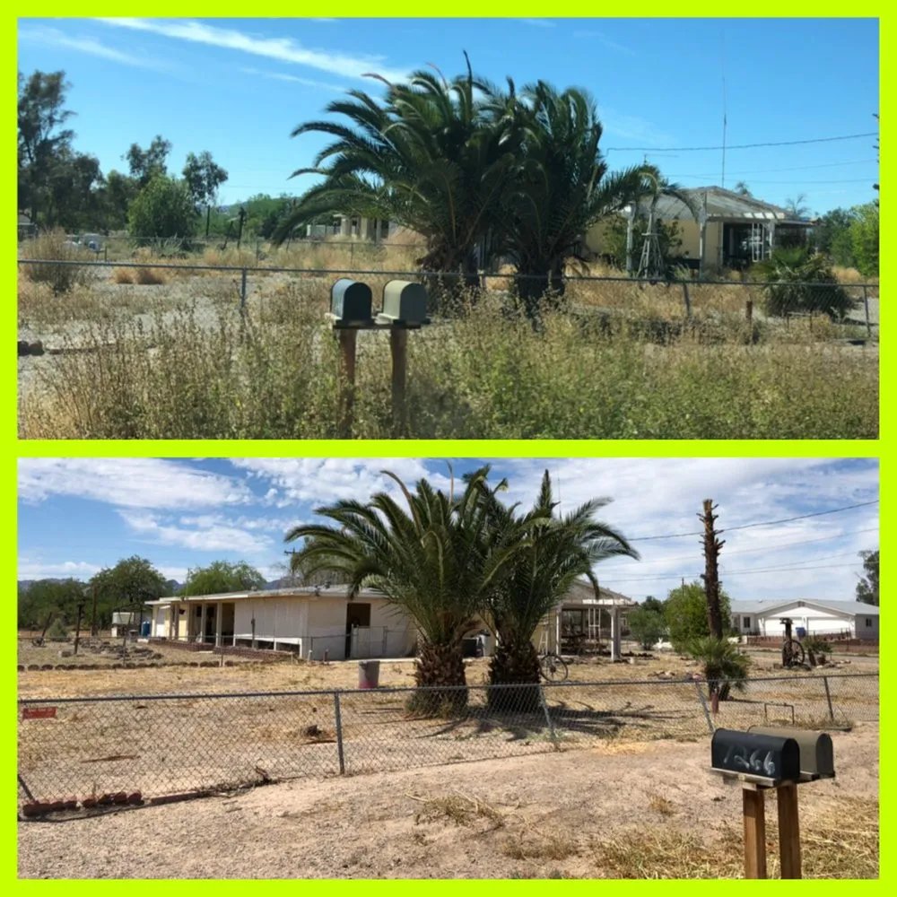 Affordable yard cleanup service for residential properties in Fort Mohave, AZ by Speedy Services