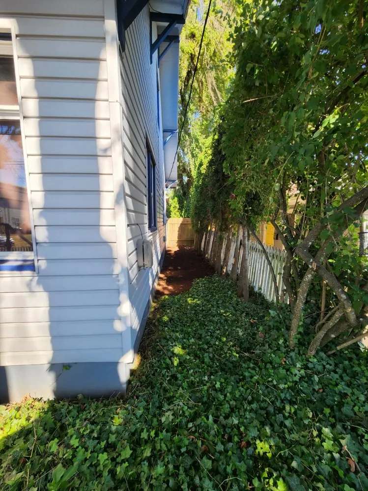 Top-rated outdoor landscaping in Gresham, OR - Speedy Trail Services