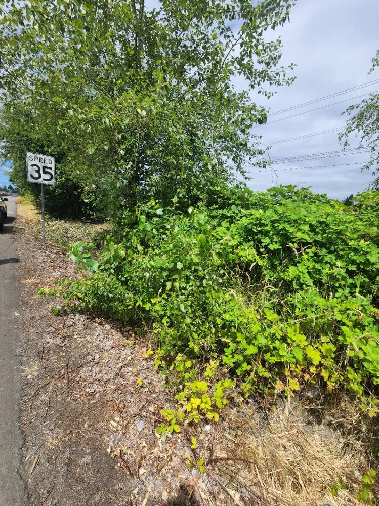 Reliable lawn care service for beautiful yards in Gresham, OR by Speedy Trail Services