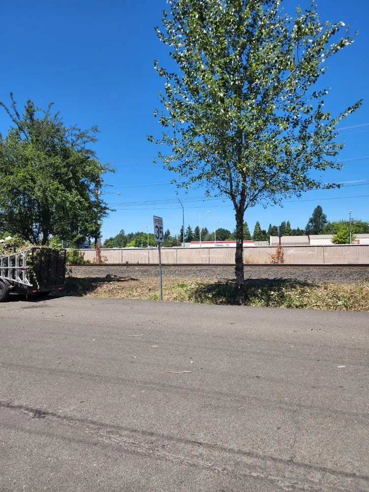 Local landscaping services for homes across Gresham, OR - Speedy Trail Services