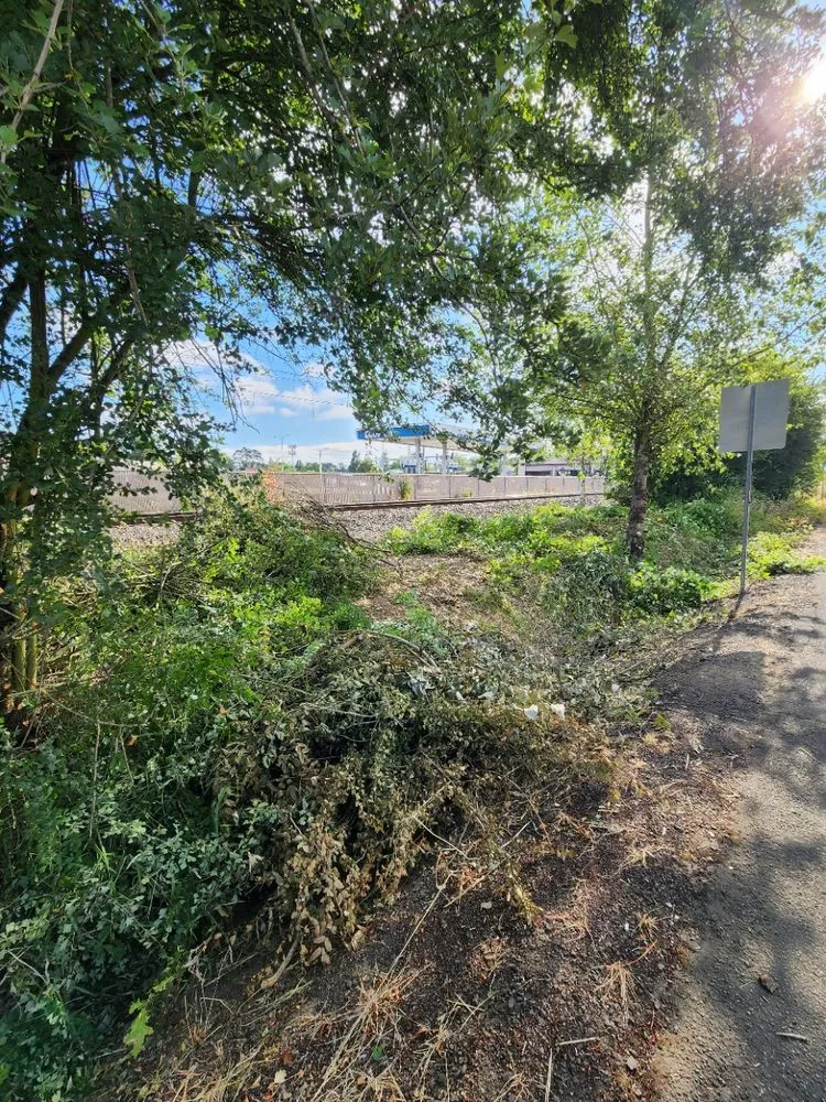 Expert yard maintenance experts serving Gresham, OR - Speedy Trail Services