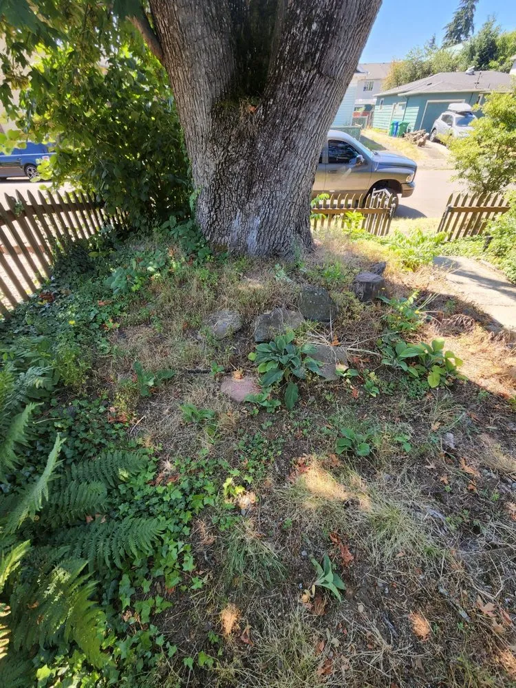 Professional yard maintenance for year-round maintenance across Gresham, OR - Speedy Trail Services