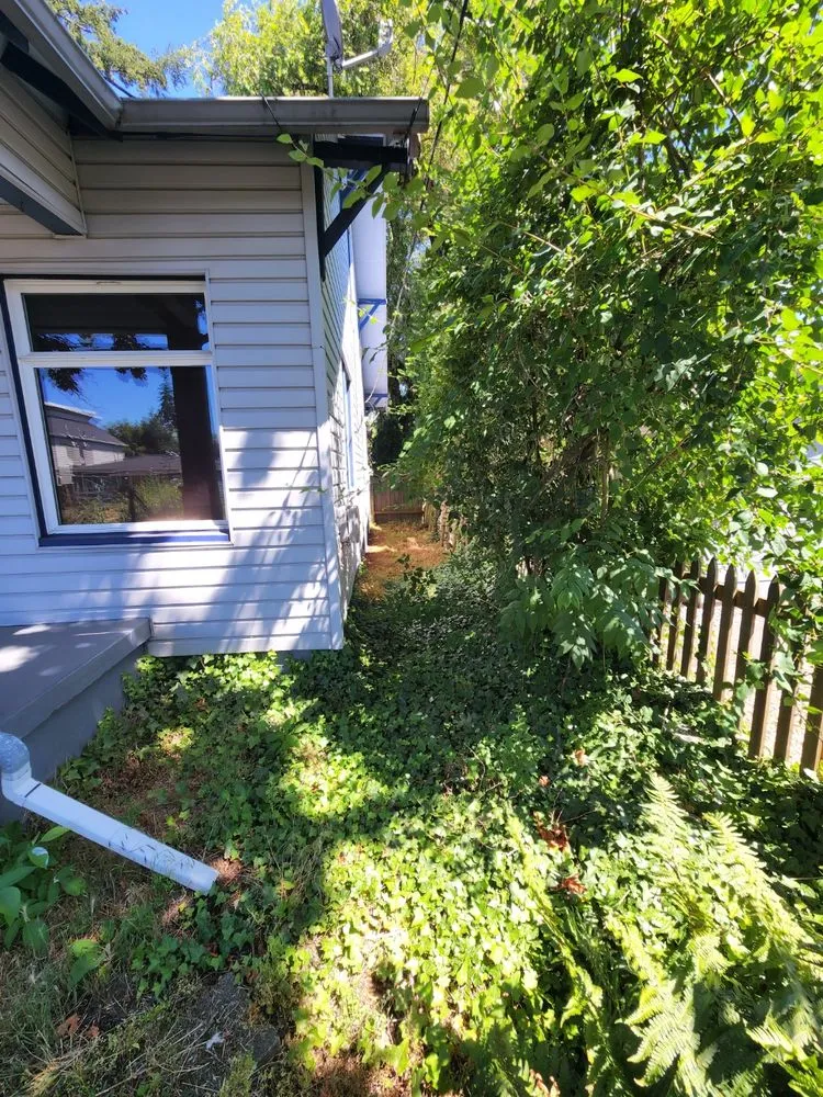 Local yard cleanup service in Gresham, OR - Speedy Trail Services