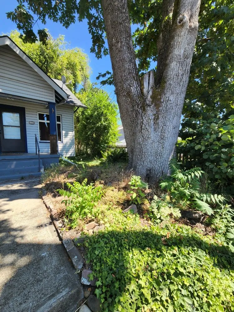 Expert residential landscaping in Gresham, OR - Speedy Trail Services