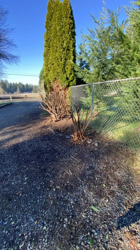 Local residential landscaping experts serving Gresham, OR - Speedy Trail Services