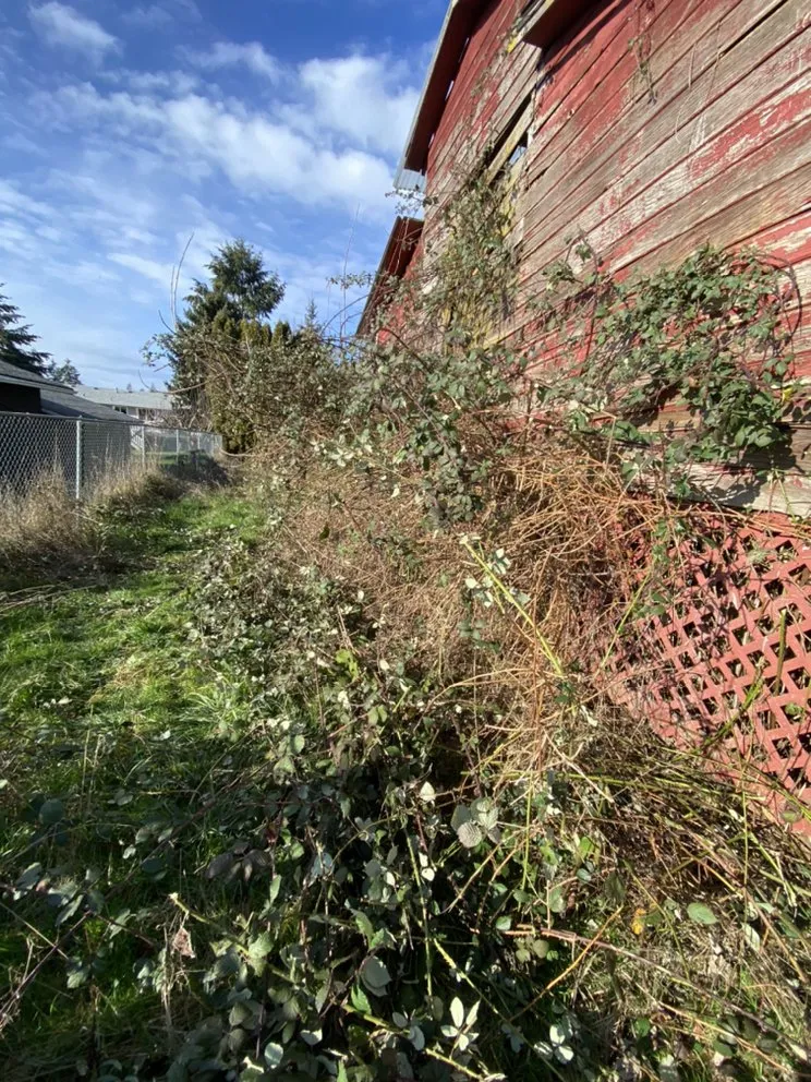 Custom yard cleanup service experts serving Gresham, OR - Speedy Trail Services