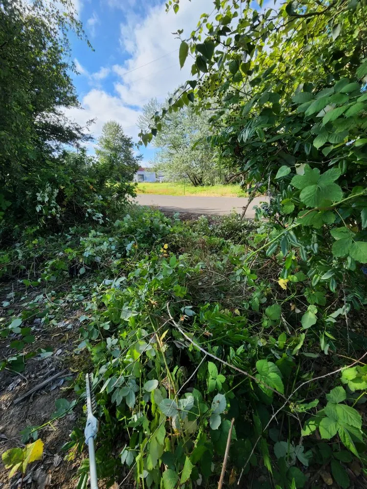 Reliable landscape installation experts serving Gresham, OR - Speedy Trail Services