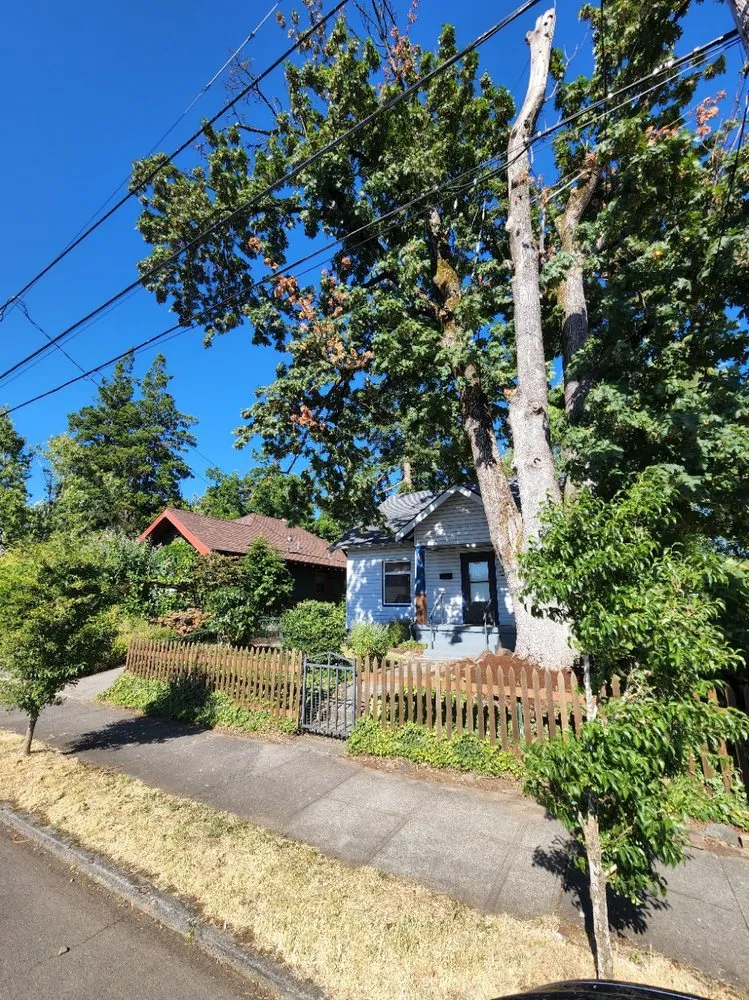 Local outdoor landscaping for year-round maintenance across Gresham, OR - Speedy Trail Services