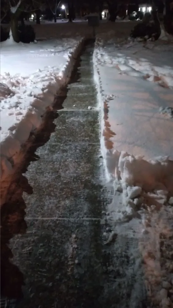 Local lawn care service experts serving Neptune City, NJ - Speedy's All Around Help