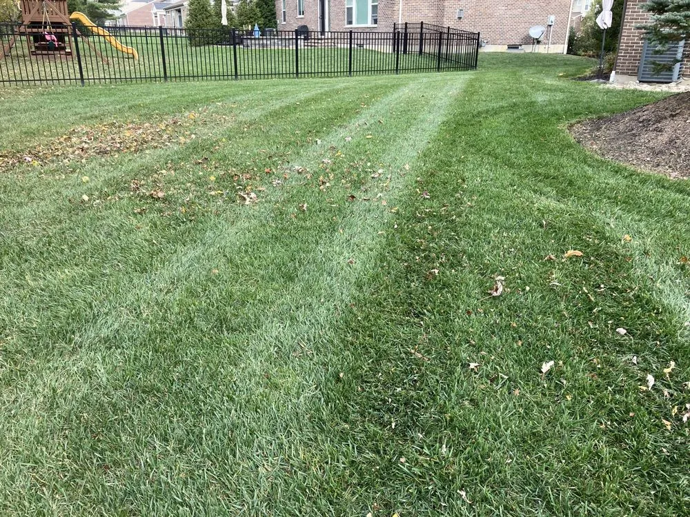 Trusted lawn mowing service for year-round maintenance in Lindenwald, OH by Speedy's Landscaping and decorative concrete