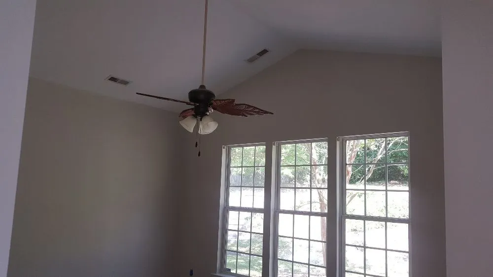 Local yard cleanup service in Durham, NC by Speedy's Painting Services