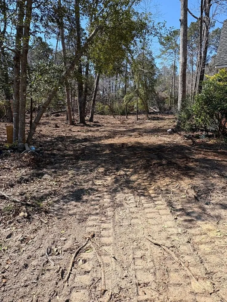 Custom lawn care service near you across Martinez, GA - Speer Outdoor Solutions