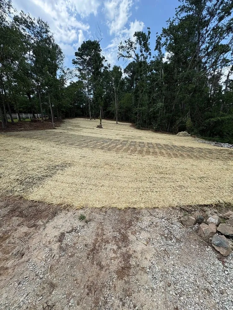 Professional landscape installation in Martinez, GA - Speer Outdoor Solutions